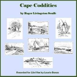Cape Coddities - Poster
