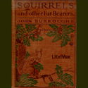 Squirrels and other Fur-Bearers - Poster
