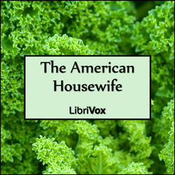 The American Housewife - Poster