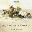 The Log of a Cowboy - Poster