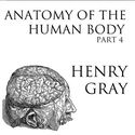 Anatomy of the Human Body, Part 4 - Poster