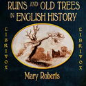 Ruins  and Old Trees - Poster