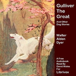 Gulliver The Great And Other Dog Stories - Poster