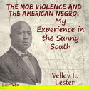 The Mob Violence and the American Negro: My Experience in the Sunny South - Poster