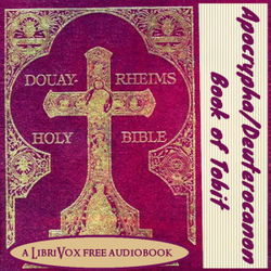 Bible (DRV) Apocrypha/Deuterocanon: Book of Tobit (Tobias) (Version 2) - Poster
