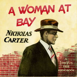 A Woman at Bay - Poster