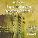 Commentary on Hebrews Chapter 8 - Poster