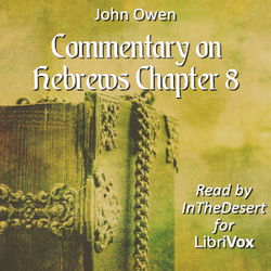 Commentary on Hebrews Chapter 8 - Poster