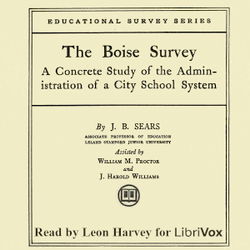 The Boise Survey - Poster
