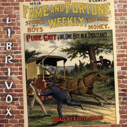 Fame and Fortune Weekly No. 18: Pure Grit - Poster