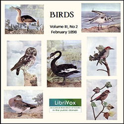 Birds, Vol. III, No 2, February 1898 - Poster