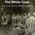 The White Cowl - Poster