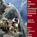 The Indians Of Carlsbad Caverns National Park - Poster