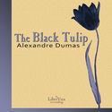 The Black Tulip - Poster