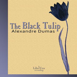 The Black Tulip - Poster