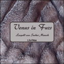 Venus in Furs - Poster