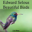 Beautiful Birds - Poster
