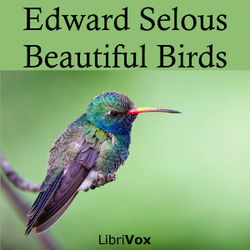 Beautiful Birds - Poster