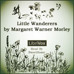Little Wanderers - Poster