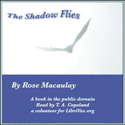 The Shadow Flies - Poster