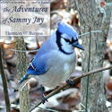 The Adventures of Sammy Jay - Poster