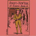 Adrift in New York - Poster