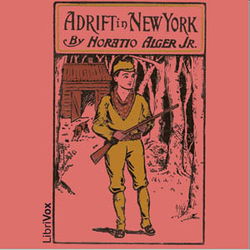 Adrift in New York - Poster