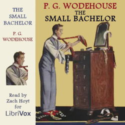 The Small Bachelor - Poster