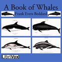 A Book of Whales - Poster