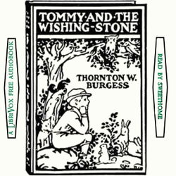 Tommy and the Wishing Stone - Poster