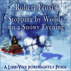 Stopping by Woods on a Snowy Evening - Poster