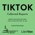 TikTok: Collected Reports - Poster