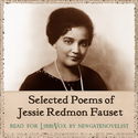 Selected Poems - Poster
