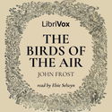 The Birds of the Air - Poster