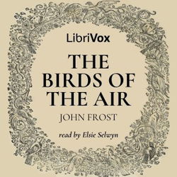 The Birds of the Air - Poster