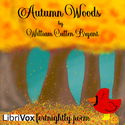 Autumn Woods - Poster