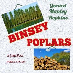 Binsey Poplars - Poster