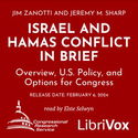 Israel and Hamas Conflict in Brief - Poster