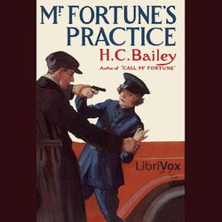 Mr. Fortune's Practice - Poster