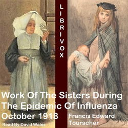 Work Of The Sisters During The Epidemic Of Influenza October, 1918 - Poster