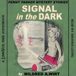 Signal in the Dark - Poster