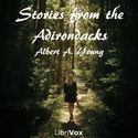 Stories from the Adirondacks - Poster