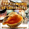 Elements of Conchology - Poster