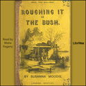 Roughing It in the Bush - Poster
