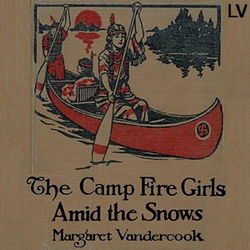 The Camp Fire Girls Amid the Snows - Poster