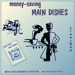 Money-Saving Main Dishes - Poster