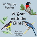 A Year with the Birds - Poster