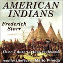 American Indians - Poster