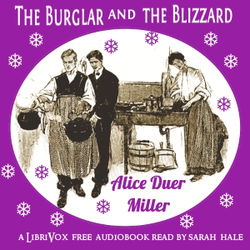 The Burglar and the Blizzard - Poster