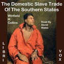The Domestic Slave Trade Of The Southern States - Poster